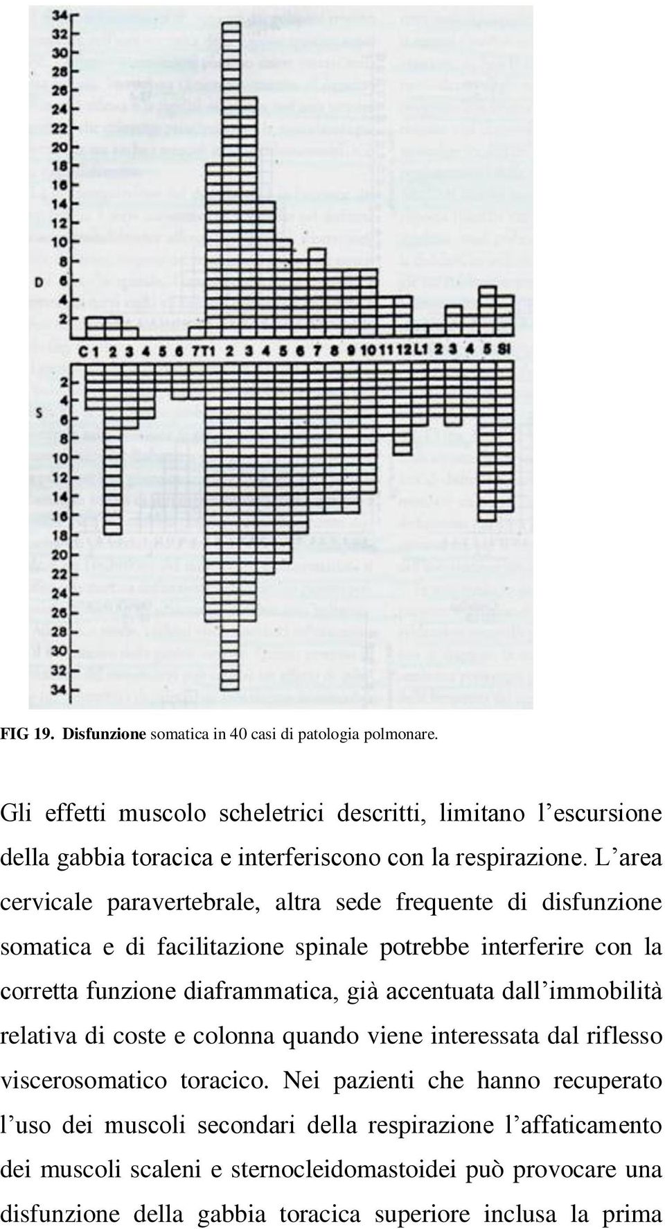 L area cervicale paravertebrale, altra sede frequente di disfunzione somatica e di facilitazione spinale potrebbe interferire con la corretta funzione diaframmatica, già