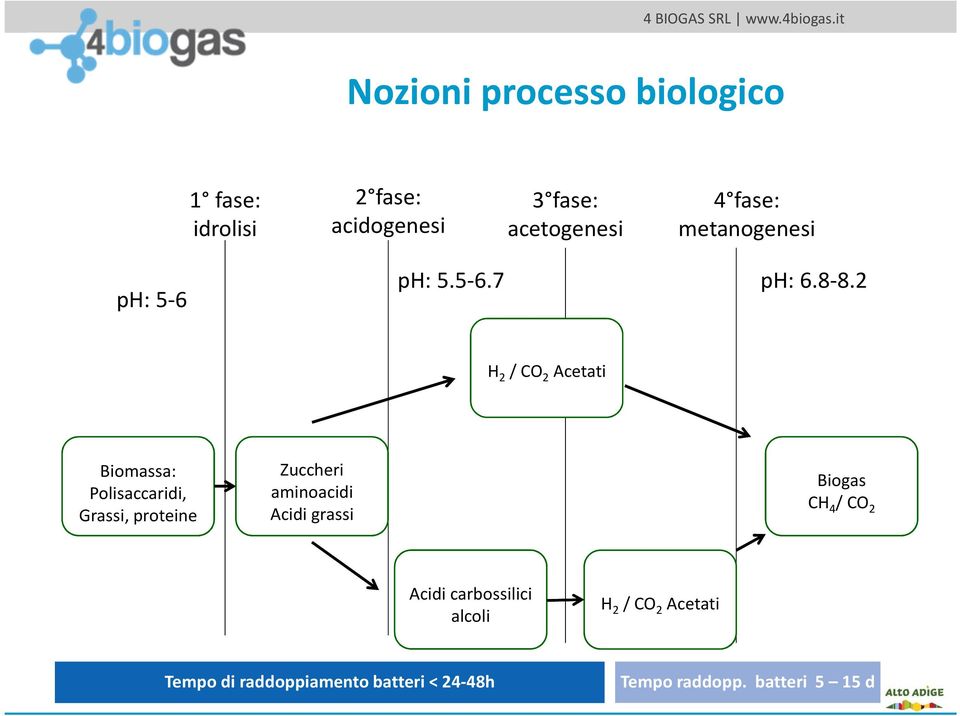 2 H 2 / CO 2 Acetati Biomassa: Polisaccaridi, Grassi, proteine Zuccheri aminoacidi Acidi