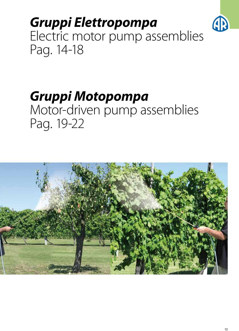 14-18 Gruppi Motopompa