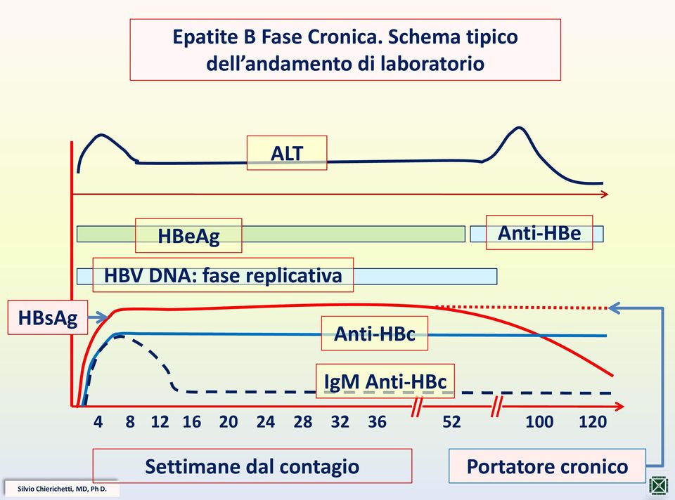HBV DNA: fase replicativa Anti-HBe HBsAg Anti-HBc IgM