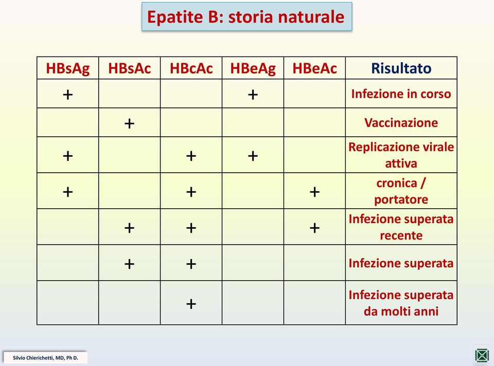 + Replicazione virale attiva cronica / portatore Infezione