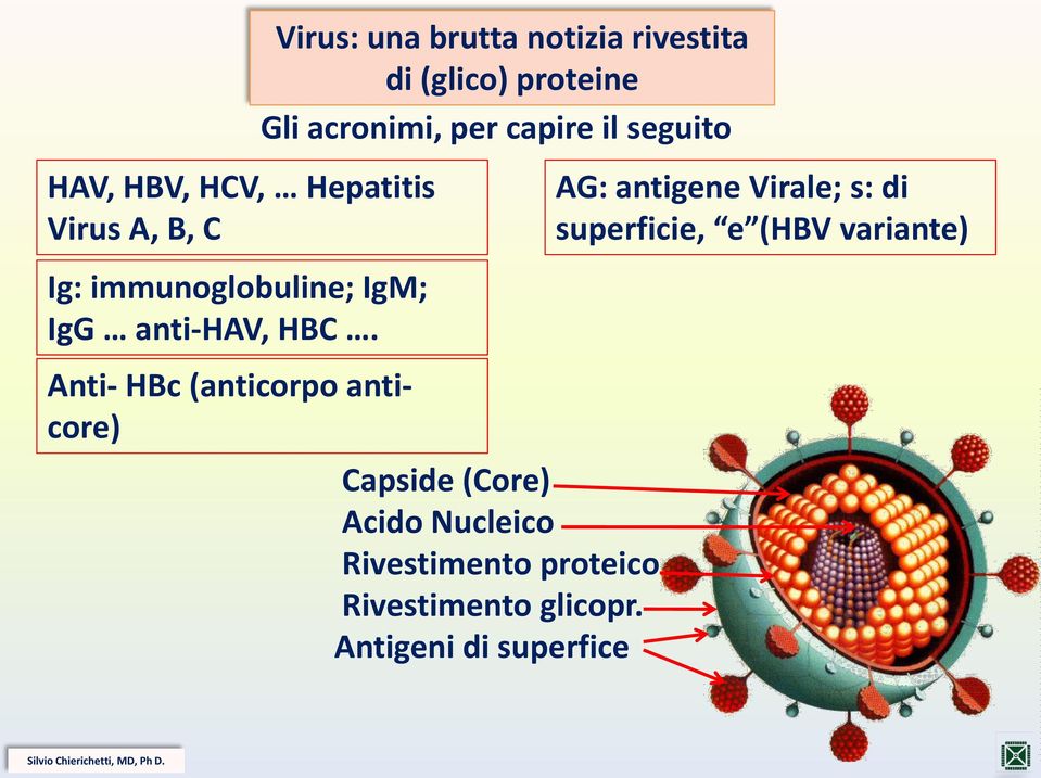 Gli acronimi, per capire il seguito Capside (Core) Acido Nucleico Rivestimento proteico