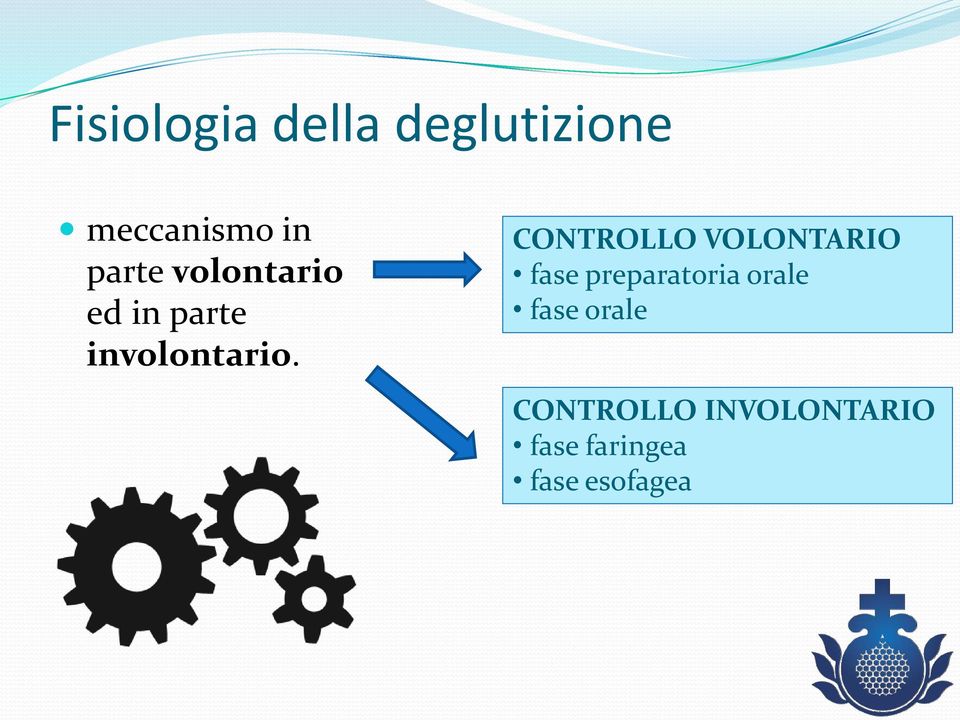 CONTROLLO VOLONTARIO fase preparatoria orale