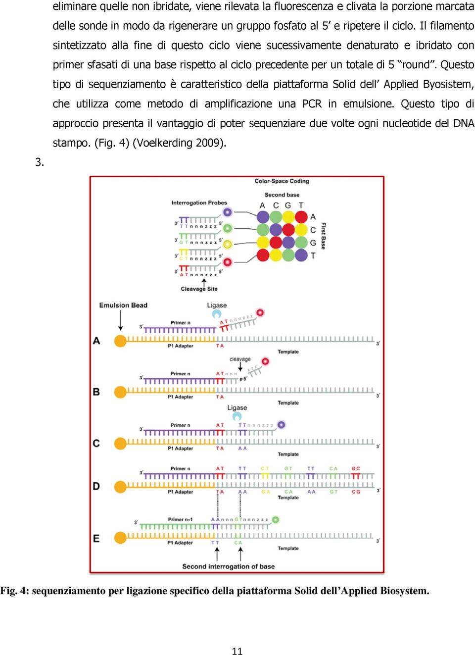 Questo tipo di sequenziamento è caratteristico della piattaforma Solid dell Applied Byosistem, che utilizza come metodo di amplificazione una PCR in emulsione.