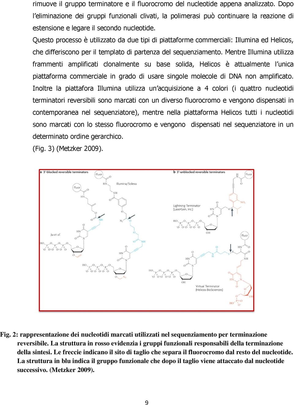 Questo processo è utilizzato da due tipi di piattaforme commerciali: Illumina ed Helicos, che differiscono per il templato di partenza del sequenziamento.