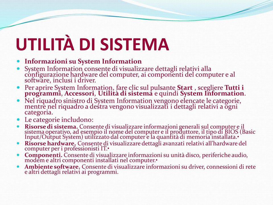 Nel riquadro sinistro di System Information vengono elencate le categorie, mentre nel riquadro a destra vengono visualizzati i dettagli relativi a ogni categoria.