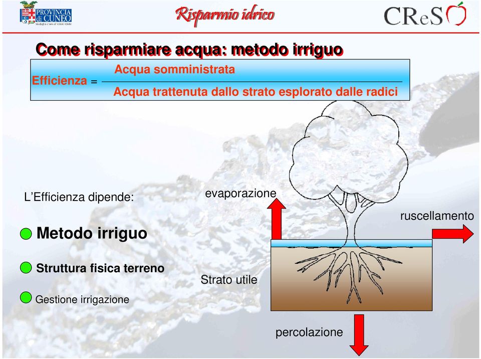 radici L Efficienza dipende: evaporazione ruscellamento Metodo