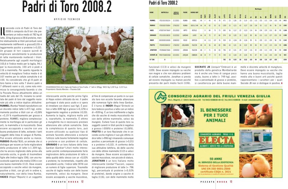 GR % PR KG PR % TA Morfologia MU AP MA MUNG SCC RANK IDA Il secondo ciclo di Padri di Toro del 2008 è composto da 8 tori che presentano un indice medio di 782 kg di latte, 33 kg di grasso e 28 di