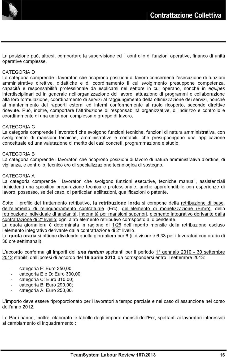 presuppone competenza, capacità e responsabilità professionale da esplicarsi nel settore in cui operano, nonché in equipes interdisciplinari ed in generale nell organizzazione del lavoro, attuazione