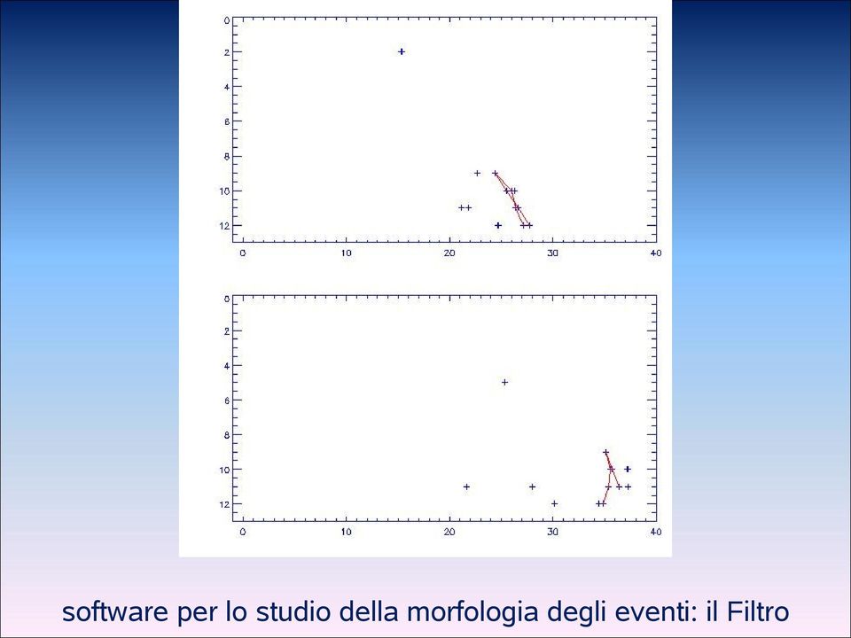 morfologia