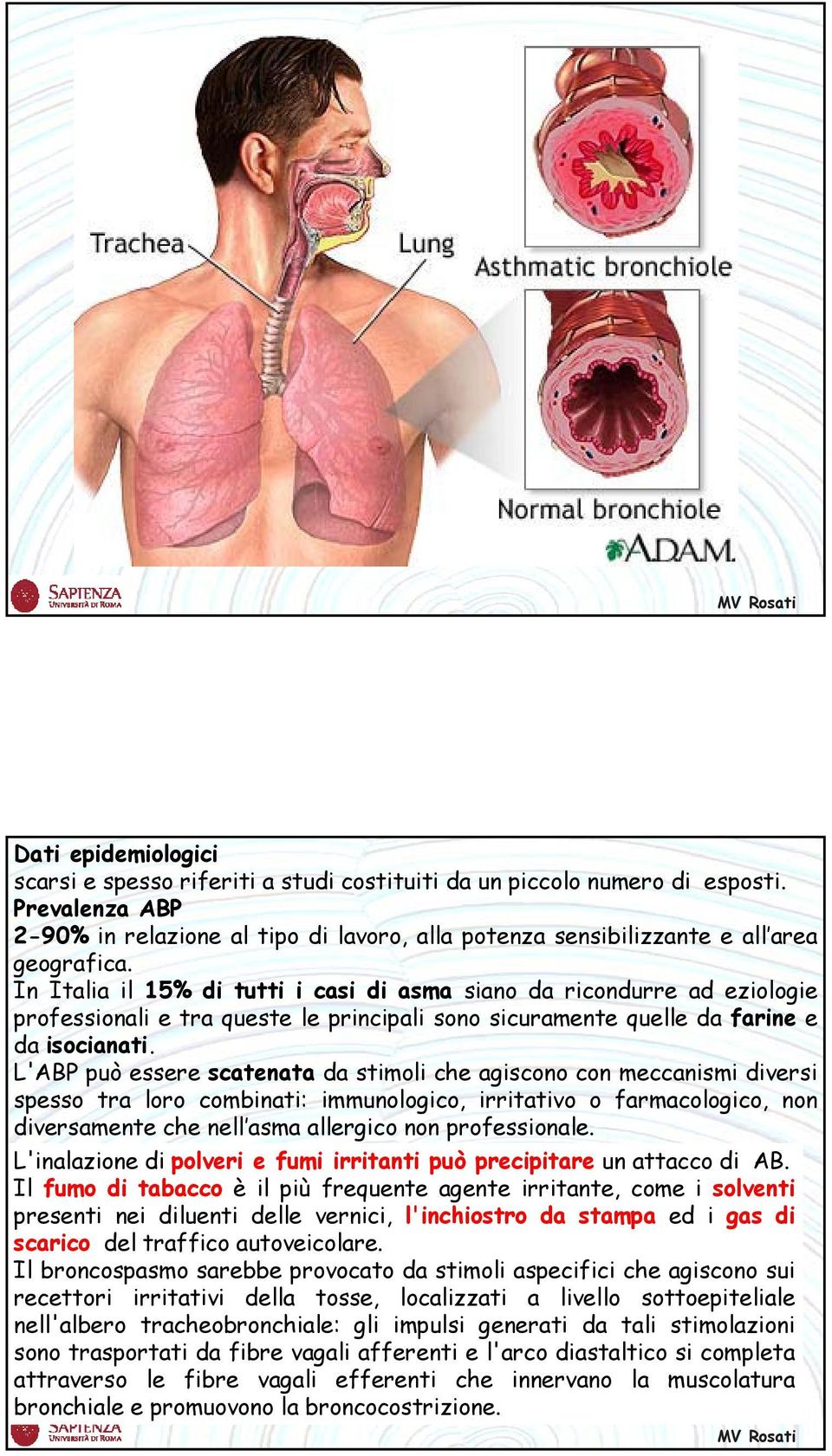 In Italia il 15% di tutti i casi di asma siano da ricondurre ad eziologie professionali e tra queste le principali sono sicuramente quelle da farine e da isocianati.