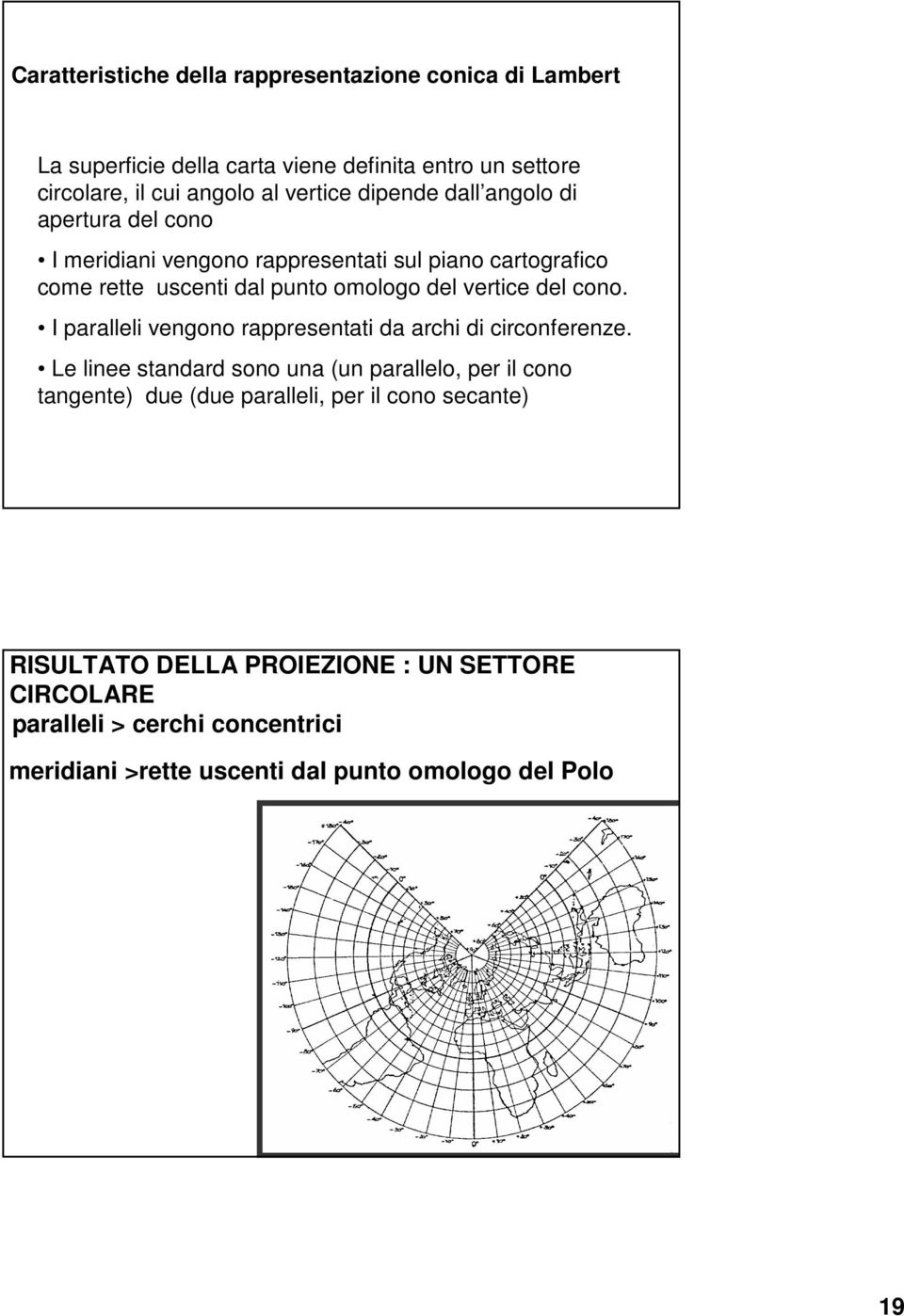 cono. I paralleli vengono rappresentati da archi di circonferenze.