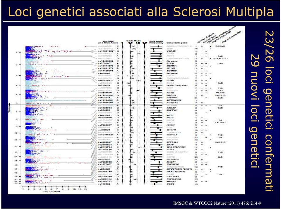 genetici confermati 29 nuovi loci