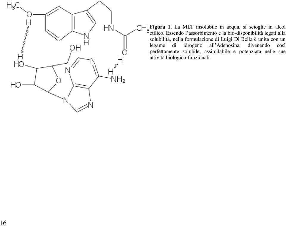 formulazione di Luigi Di Bella è unita con un legame di idrogeno all Adenosina,