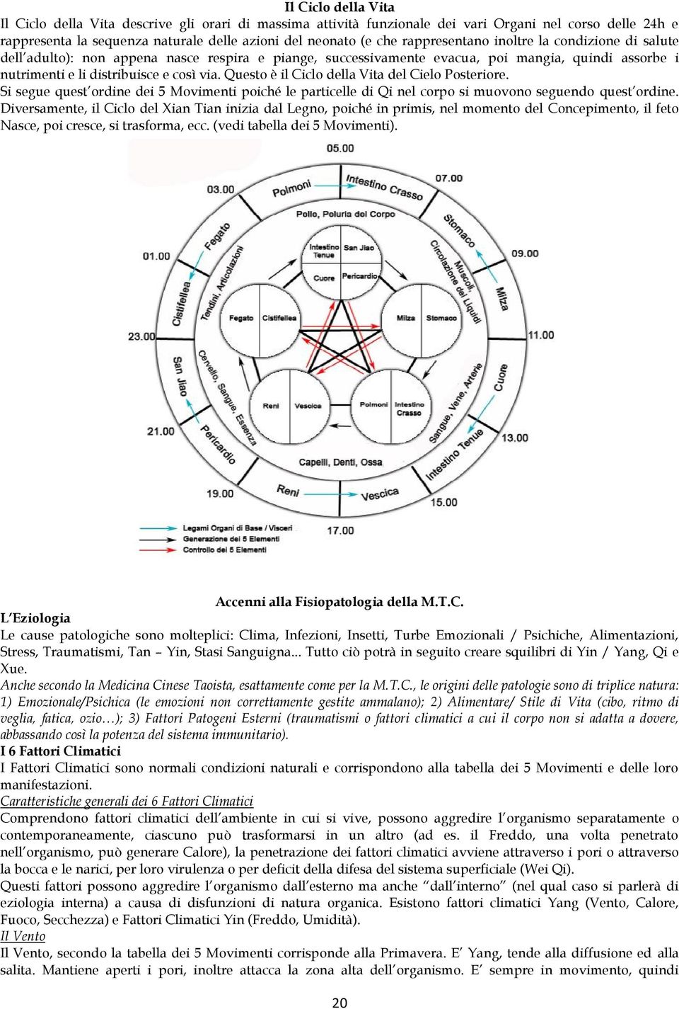 Questo è il Ciclo della Vita del Cielo Posteriore. Si segue quest ordine dei 5 Movimenti poiché le particelle di Qi nel corpo si muovono seguendo quest ordine.