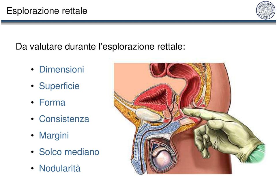 Dimensioni Superficie Forma