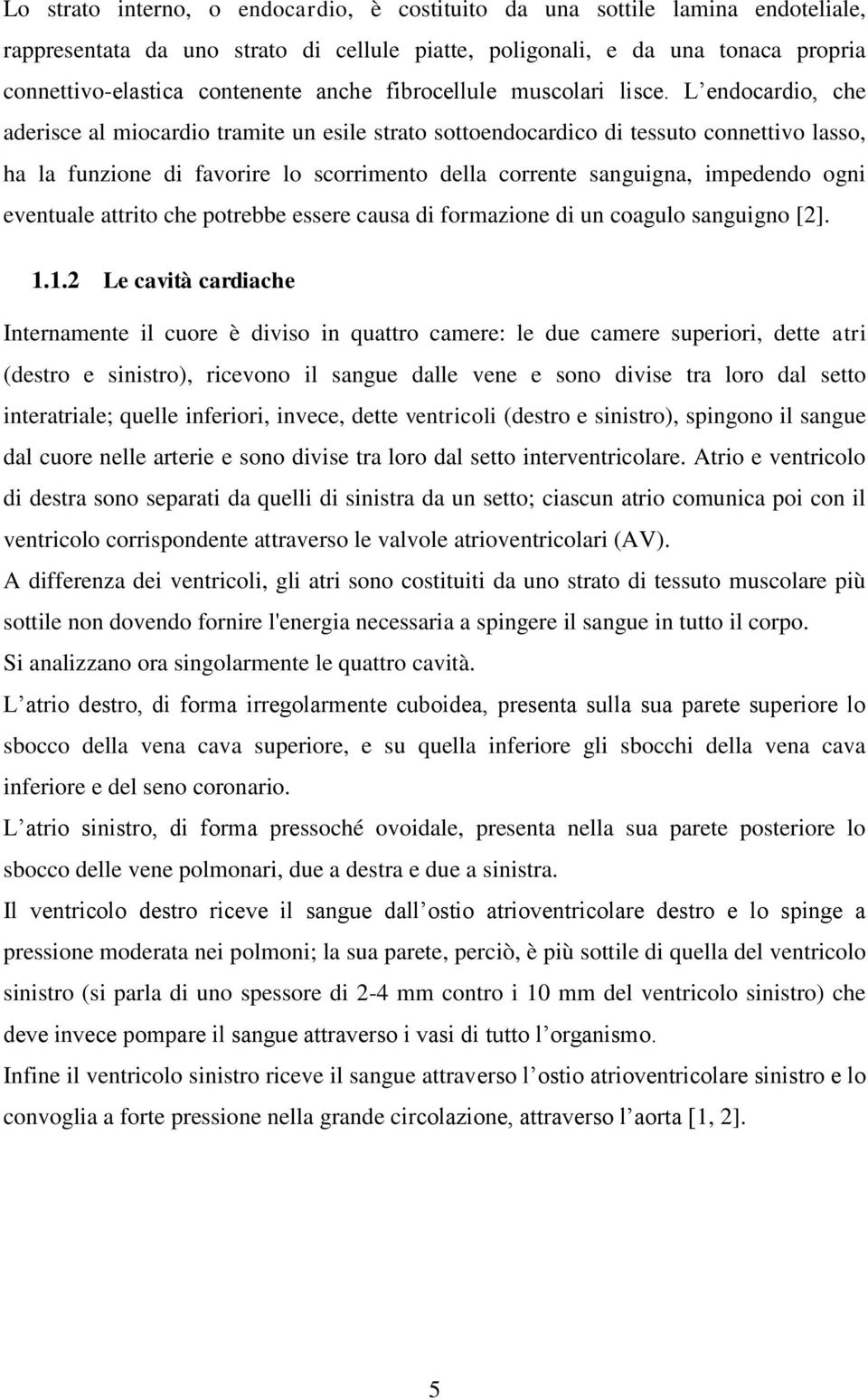 L endocardio, che aderisce al miocardio tramite un esile strato sottoendocardico di tessuto connettivo lasso, ha la funzione di favorire lo scorrimento della corrente sanguigna, impedendo ogni