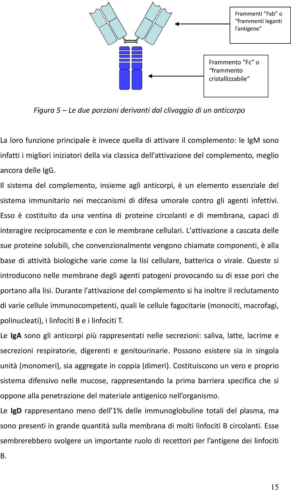 Il sistema del complemento, insieme agli anticorpi, è un elemento essenziale del sistema immunitario nei meccanismi di difesa umorale contro gli agenti infettivi.