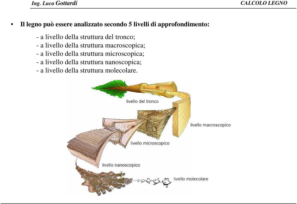 macroscopica; - a livello della struttura microscopica; - a livello