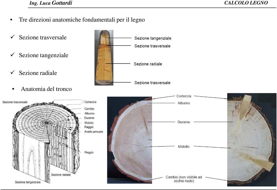 Sezione trasversale Sezione