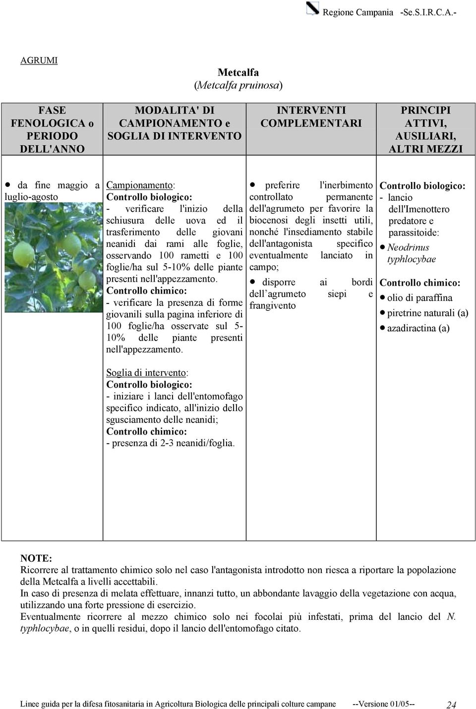 Controllo chimico: - verificare la presenza di forme giovanili sulla pagina inferiore di 100 foglie/ha osservate sul 5-10% delle piante presenti nell'appezzamento.