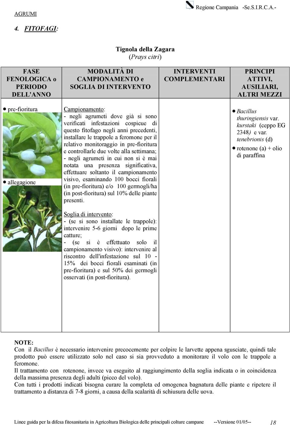 effettuare soltanto il campionamento visivo, esaminando 100 bocci fiorali (in pre-fioritura) e/o 100 germogli/ha (in post-fioritura) sul 10% delle piante presenti. Bacillus thuringiensis var.