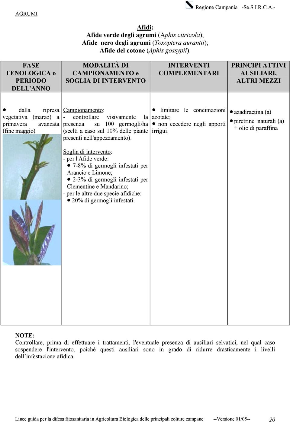 - per l'afide verde: 7-8% di germogli infestati per Arancio e Limone; 2-3% di germogli infestati per Clementine e Mandarino; - per le altre due specie afidiche: 20% di germogli infestati.