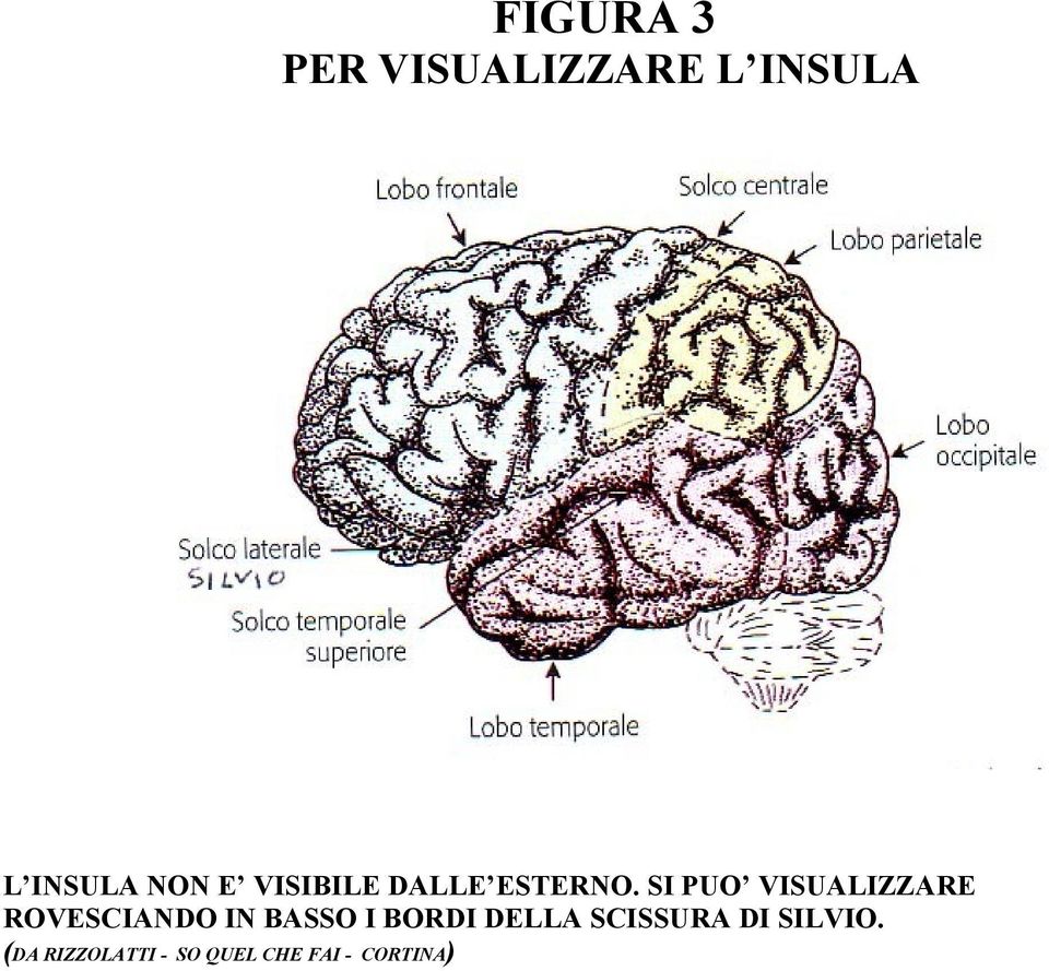 SI PUO VISUALIZZARE ROVESCIANDO IN BASSO I