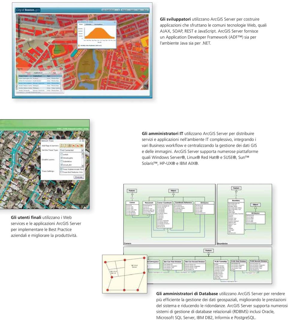 Gli amministratori IT utilizzano ArcGIS Server per distribuire servizi e applicazioni nell ambiente IT complessivo, integrando i vari Business workflow e centralizzando la gestione dei dati GIS e