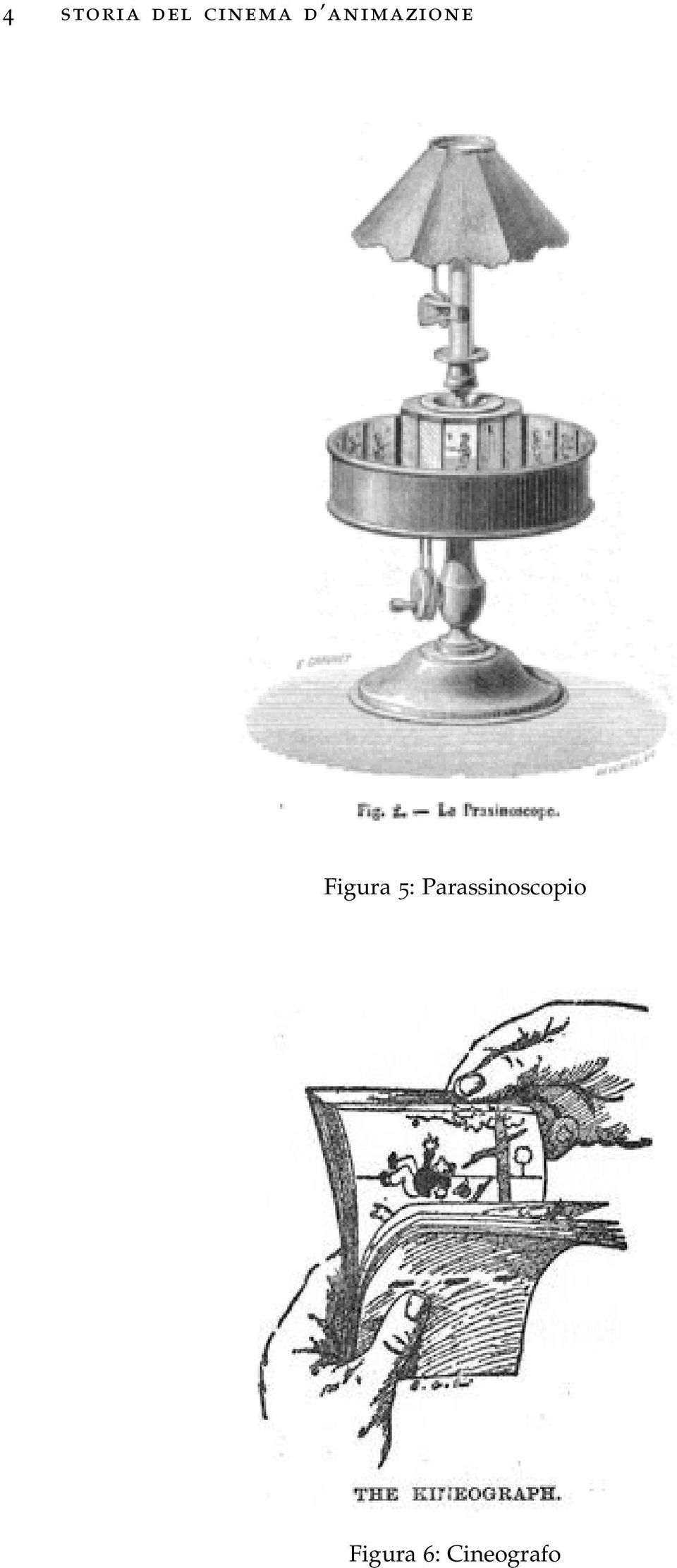 5: Parassinoscopio