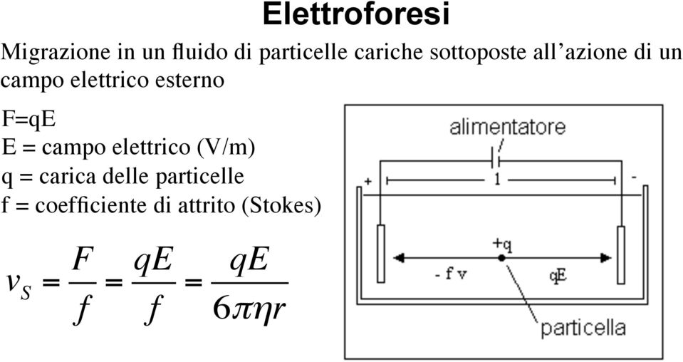 esterno F=qE E = campo elettrico (V/m) q = carica delle