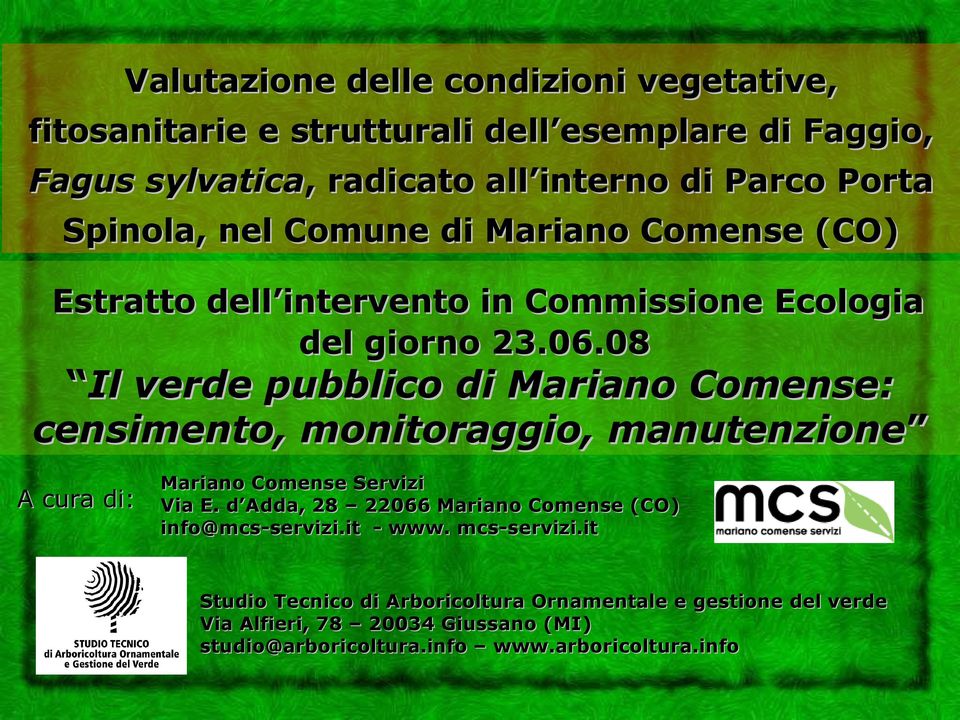 08 Il verde pubblico di Mariano Comense: censimento, monitoraggio, manutenzione A cura di: Mariano Comense Servizi Via E.