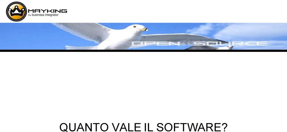 SOFTWARE?