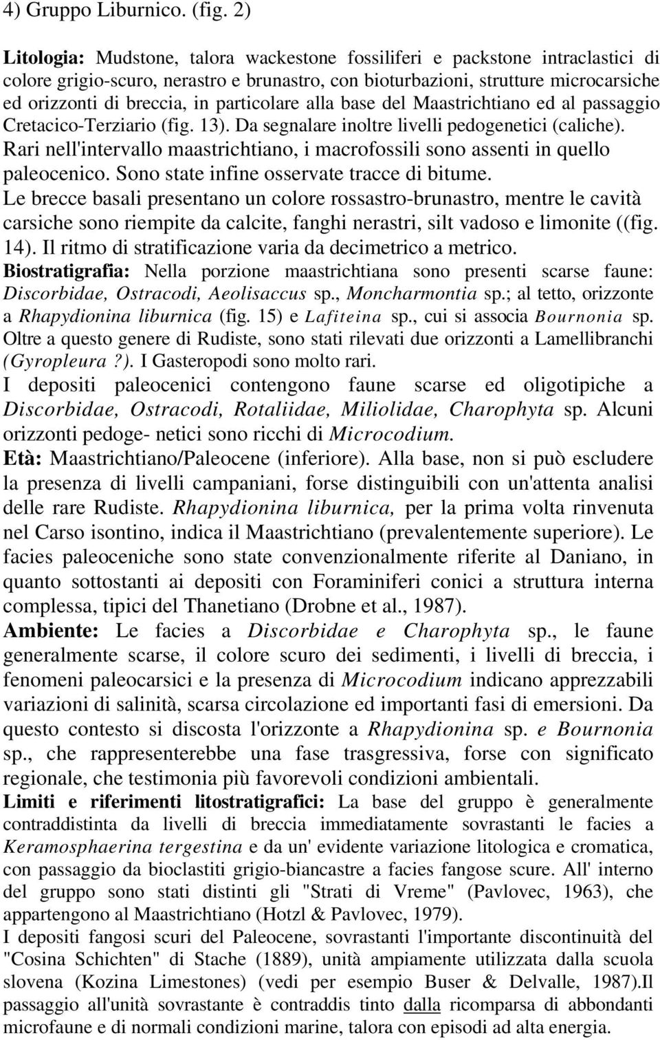 particolare alla base del Maastrichtiano ed al passaggio Cretacico-Terziario (fig. 13). Da segnalare inoltre livelli pedogenetici (caliche).