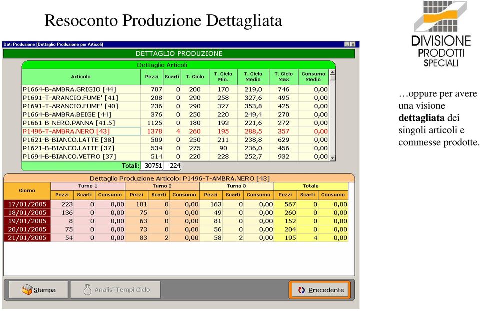 una visione dettagliata dei