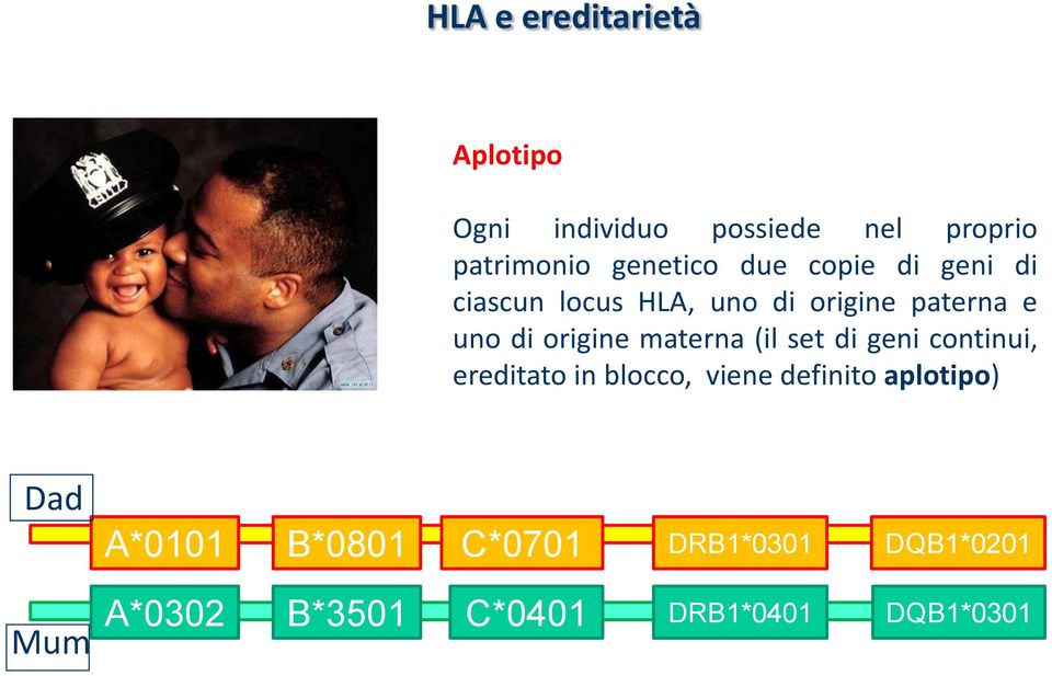 materna (il set di geni continui, ereditato in blocco, viene definito aplotipo) Dad