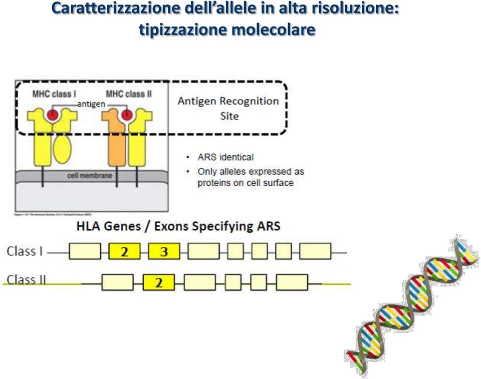 alta risoluzione: