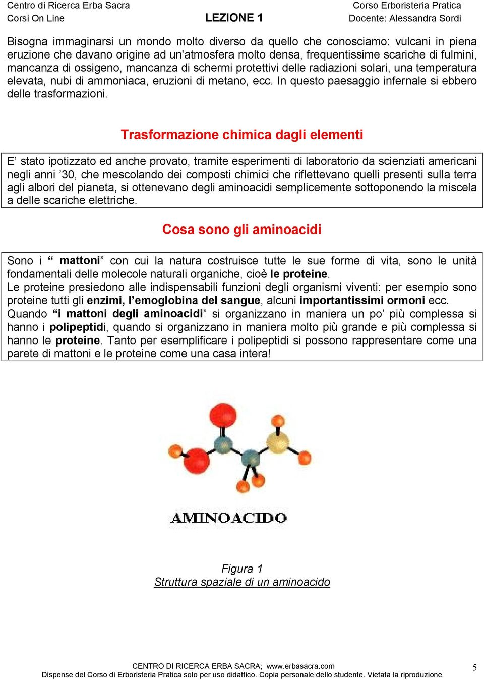 Trasformazione chimica dagli elementi E stato ipotizzato ed anche provato, tramite esperimenti di laboratorio da scienziati americani negli anni 30, che mescolando dei composti chimici che