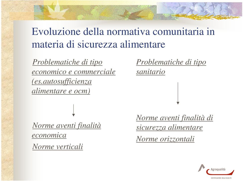 autosufficienza alimentare e ocm) Problematiche di tipo sanitario Norme