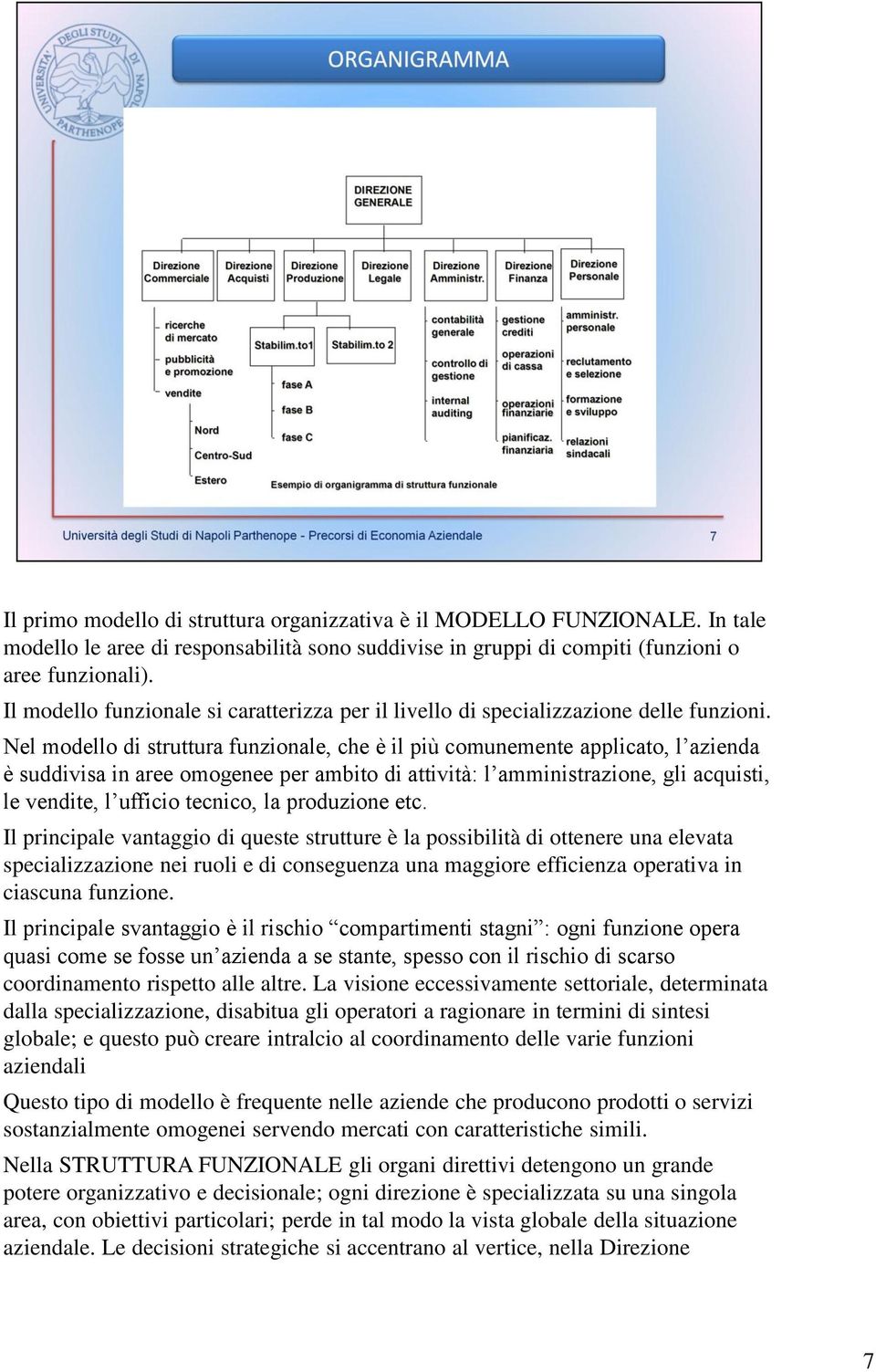 Nel modello di struttura funzionale, che è il più comunemente applicato, l azienda è suddivisa in aree omogenee per ambito di attività: l amministrazione, gli acquisti, le vendite, l ufficio tecnico,