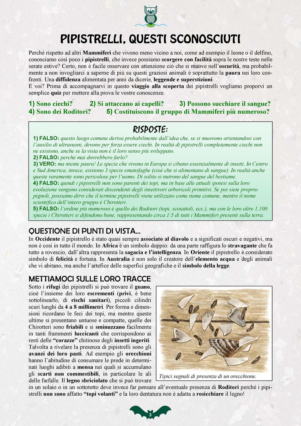 Certo, non è facile osservare con attenzione ciò che si muove nell oscurità, ma probabilmente a non invogliarci a saperne di più su questi graziosi animali è soprattutto la paura nei loro confronti.