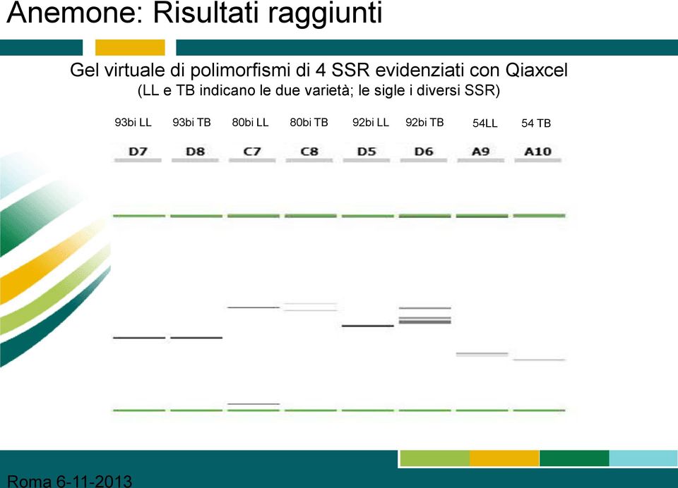 Qiaxcel (LL e TB indicano le due varietà; le sigle i