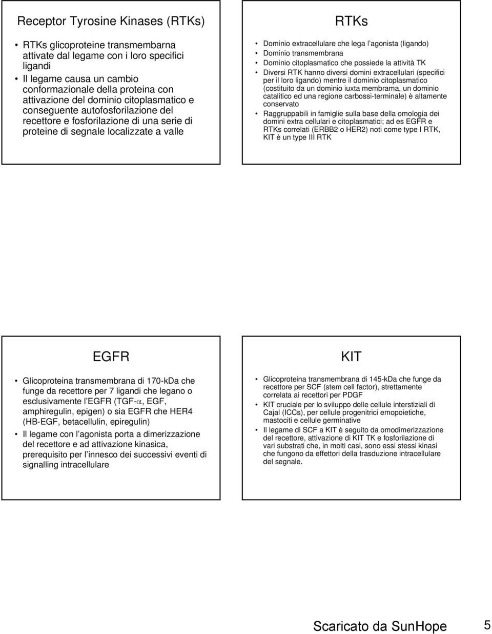 Dominio transmembrana Dominio citoplasmatico che possiede la attività TK Diversi RTK hanno diversi domini extracellulari (specifici per il loro ligando) mentre il dominio citoplasmatico (costituito