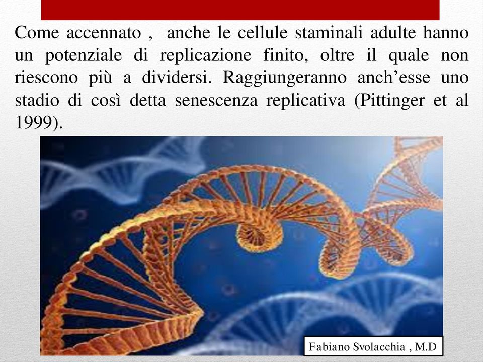 riescono più a dividersi.