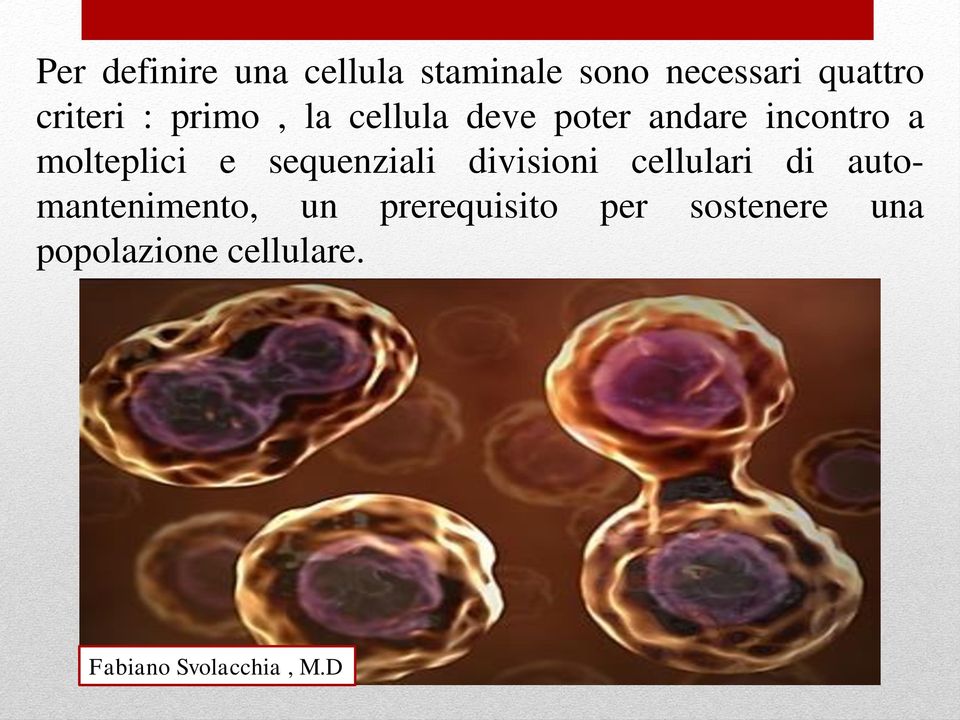 molteplici e sequenziali divisioni cellulari di