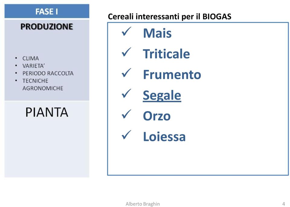 BIOGAS Mais