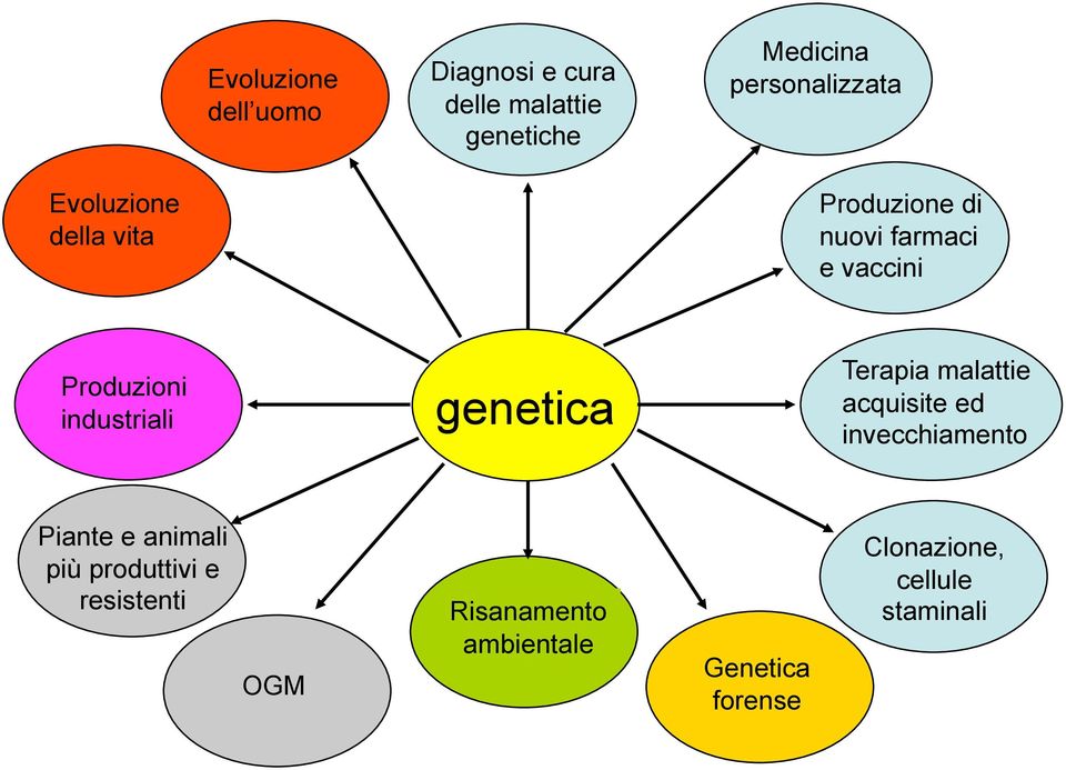 genetica Terapia malattie acquisite ed invecchiamento Piante e animali più produttivi