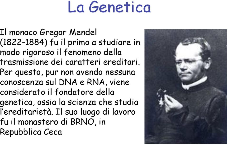 Per questo, pur non avendo nessuna conoscenza sul DNA e RNA, viene considerato il