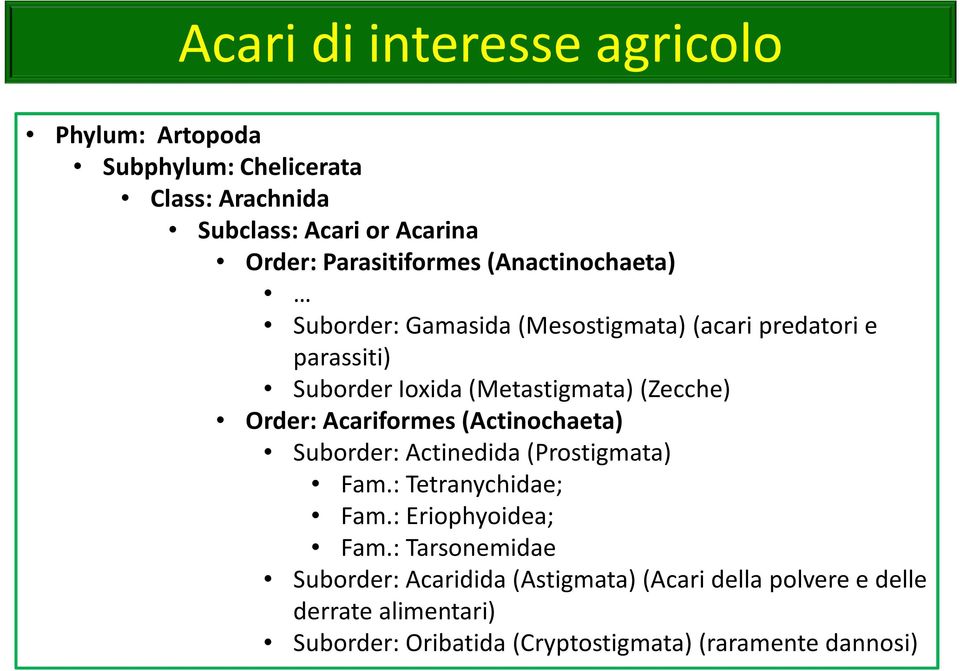 (Zecche) Order: Acariformes(Actinochaeta) Suborder: Actinedida(Prostigmata) Fam.: Tetranychidae; Fam.: Eriophyoidea; Fam.