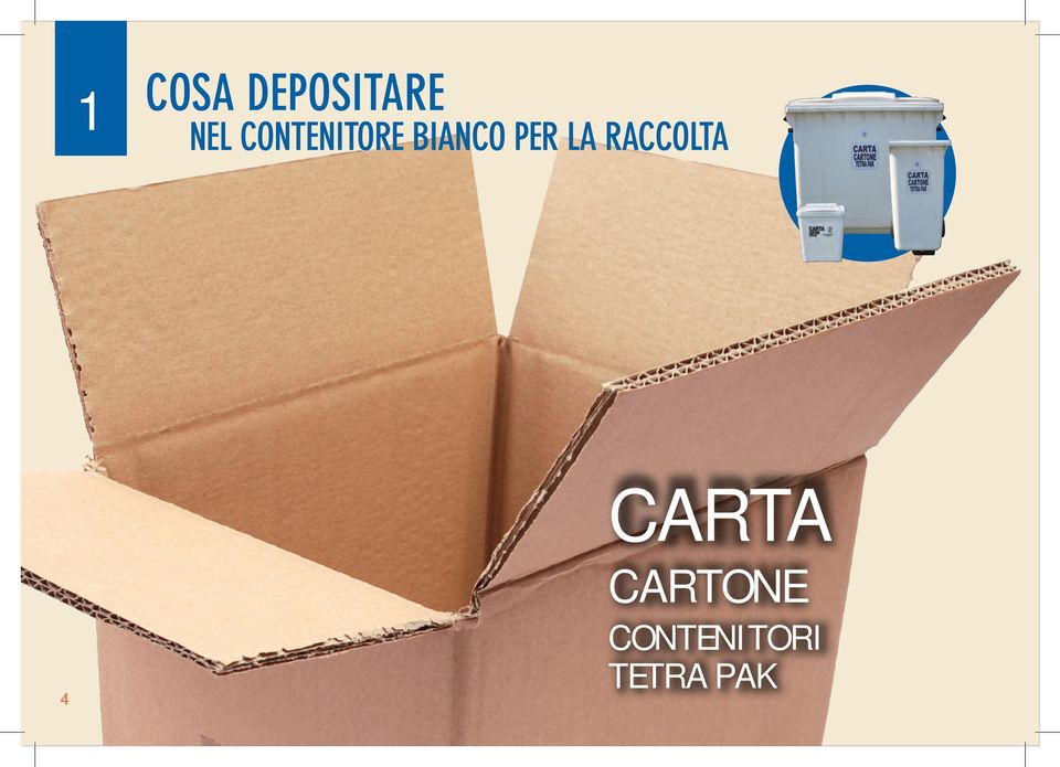 LA RACCOLTA 4 CARTA